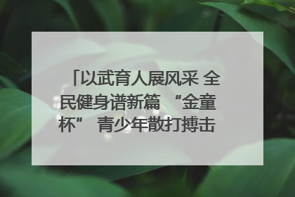 以武育人展风采 全民健身谱新篇 “金童杯” 青少年散打搏击邀请赛圆满落幕