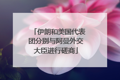 伊朗和美国代表团分别与阿曼外交大臣进行磋商