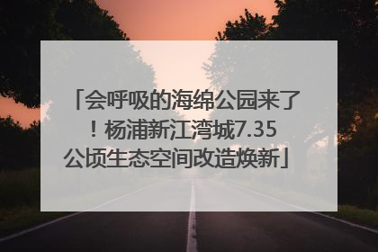 会呼吸的海绵公园来了！杨浦新江湾城7.35公顷生态空间改造焕新