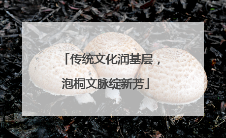 传统文化润基层，泡桐文脉绽新芳