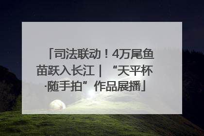 司法联动！4万尾鱼苗跃入长江｜“天平杯·随手拍”作品展播