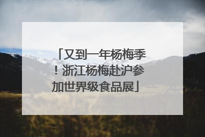又到一年杨梅季！浙江杨梅赴沪参加世界级食品展