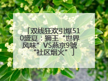 双线狂欢引爆510盛夏：狮王“世界风味”VS燕京9號“社区烟火”