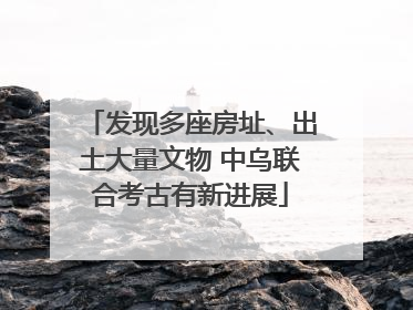 发现多座房址、出土大量文物 中乌联合考古有新进展