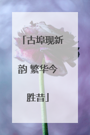 古埠现新韵 繁华今胜昔