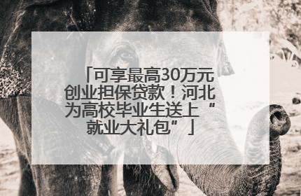 可享最高30万元创业担保贷款！河北为高校毕业生送上“就业大礼包”
