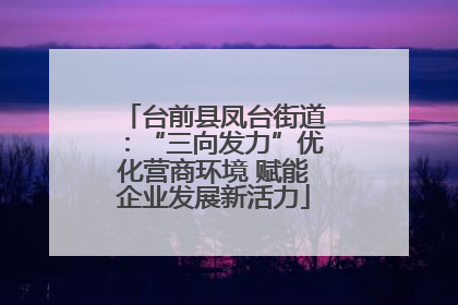 台前县凤台街道：“三向发力”优化营商环境 赋能企业发展新活力