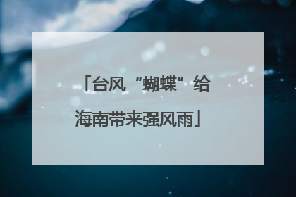 台风“蝴蝶”给海南带来强风雨