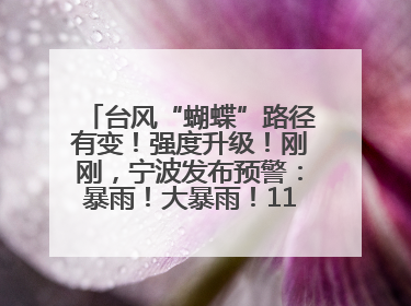 台风“蝴蝶”路径有变！强度升级！刚刚，宁波发布预警：暴雨！大暴雨！11级大风！