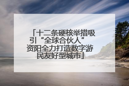 十二条硬核举措吸引“全球合伙人” 资阳全力打造数字游民友好型城市