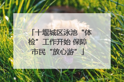 十堰城区泳池“体检”工作开始 保障市民“放心游”