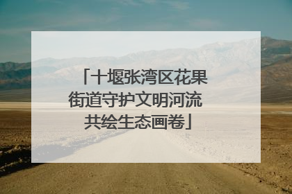 十堰张湾区花果街道守护文明河流 共绘生态画卷