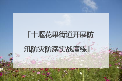 十堰花果街道开展防汛防灾防溺实战演练