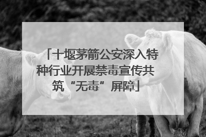 十堰茅箭公安深入特种行业开展禁毒宣传共筑“无毒”屏障