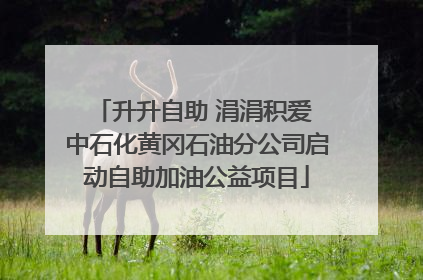 升升自助 涓涓积爱 中石化黄冈石油分公司启动自助加油公益项目