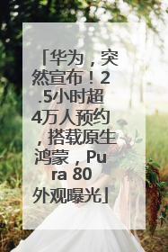 华为，突然宣布！2.5小时超4万人预约，搭载原生鸿蒙，Pura 80外观曝光