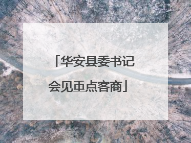 华安县委书记会见重点客商