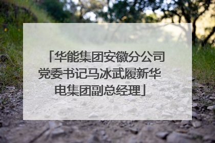 华能集团安徽分公司党委书记马冰武履新华电集团副总经理