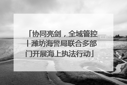 协同亮剑，全域管控丨潍坊海警局联合多部门开展海上执法行动