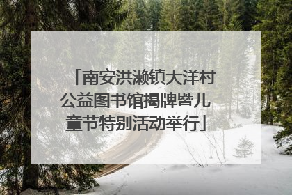 南安洪濑镇大洋村公益图书馆揭牌暨儿童节特别活动举行