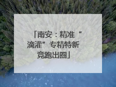 南安：精准“滴灌”专精特新竞跑出圈
