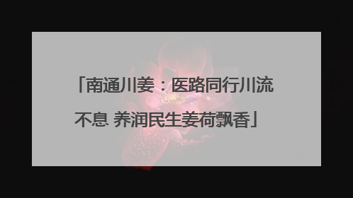 南通川姜：医路同行川流不息 养润民生姜荷飘香