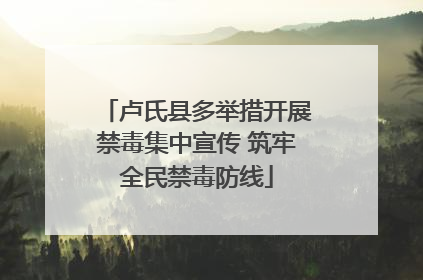 卢氏县多举措开展禁毒集中宣传 筑牢全民禁毒防线