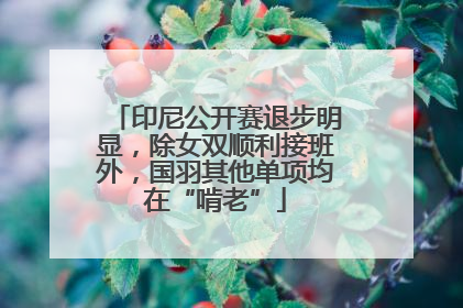 印尼公开赛退步明显，除女双顺利接班外，国羽其他单项均在“啃老”