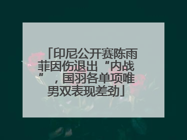 印尼公开赛陈雨菲因伤退出“内战”，国羽各单项唯男双表现差劲