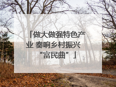 做大做强特色产业 奏响乡村振兴“富民曲”