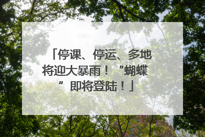 停课、停运、多地将迎大暴雨！“蝴蝶”即将登陆！