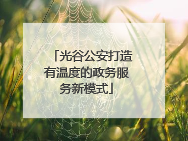 光谷公安打造有温度的政务服务新模式