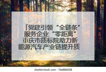 党建引领“全链条” 服务企业“零距离” 重庆市质标院助力新能源汽车产业链提升质量管理水平