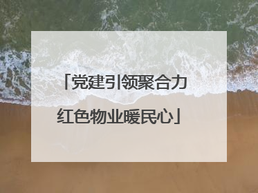 党建引领聚合力 红色物业暖民心