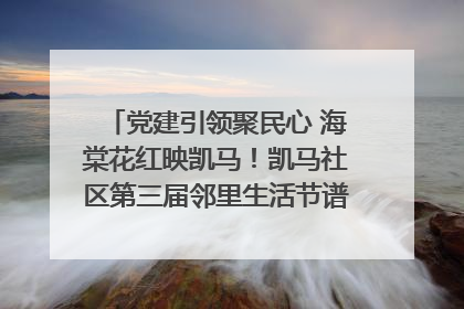 党建引领聚民心 海棠花红映凯马！凯马社区第三届邻里生活节谱写幸福新篇章