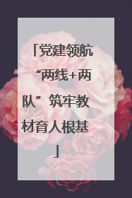 党建领航“两线+两队”筑牢教材育人根基