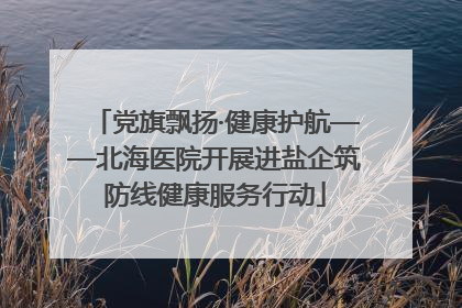 党旗飘扬·健康护航——北海医院开展进盐企筑防线健康服务行动