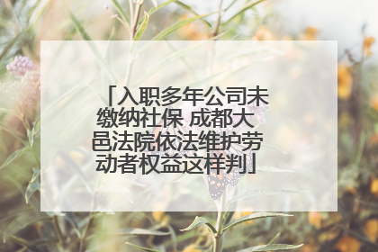 入职多年公司未缴纳社保 成都大邑法院依法维护劳动者权益这样判