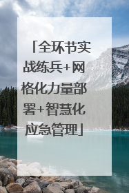 全环节实战练兵+网格化力量部署+智慧化应急管理