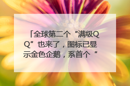 全球第二个“满级QQ”也来了，图标已显示金色企鹅，系首个“满级QQ”的小号
