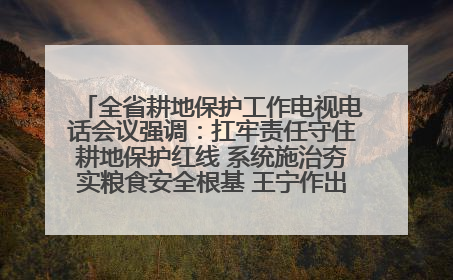 全省耕地保护工作电视电话会议强调：扛牢责任守住耕地保护红线 系统施治夯实粮食安全根基 王宁作出批示 王予波出席并讲话