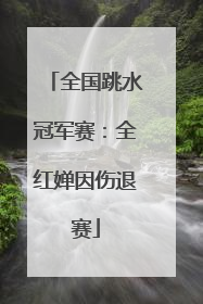 全国跳水冠军赛：全红婵因伤退赛