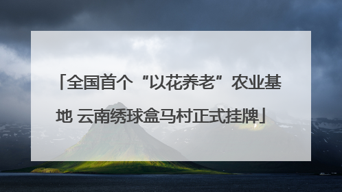 全国首个“以花养老”农业基地 云南绣球盒马村正式挂牌
