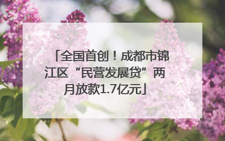 全国首创！成都市锦江区“民营发展贷”两月放款1.7亿元