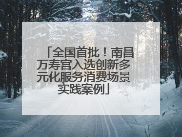全国首批！南昌万寿宫入选创新多元化服务消费场景实践案例