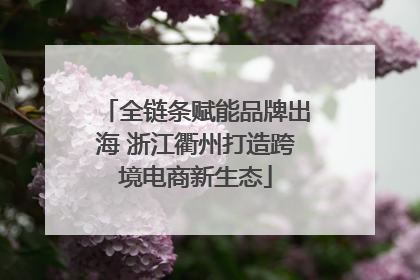 全链条赋能品牌出海 浙江衢州打造跨境电商新生态