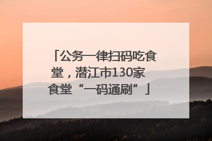 公务一律扫码吃食堂，潜江市130家食堂“一码通刷”