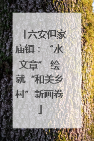 六安但家庙镇：“水文章” 绘就“和美乡村”新画卷