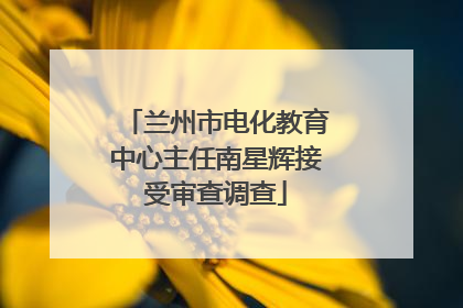 兰州市电化教育中心主任南星辉接受审查调查