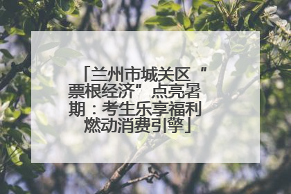 兰州市城关区“票根经济”点亮暑期：考生乐享福利 燃动消费引擎